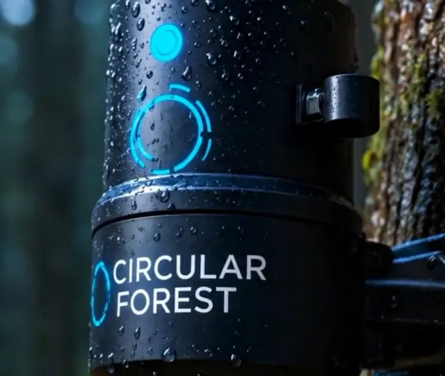 Un dispositivo sensor de la marca Circular Forest instalado en un árbol del bosque