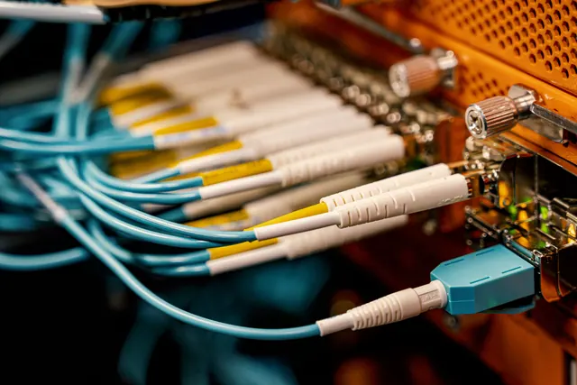 Cables de fibra óptica conectados a un panel de red