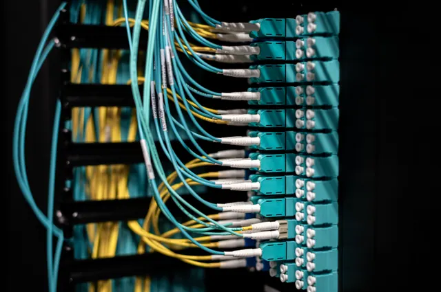 Cables de fibra óptica conectados a un panel de red en un centro de datos