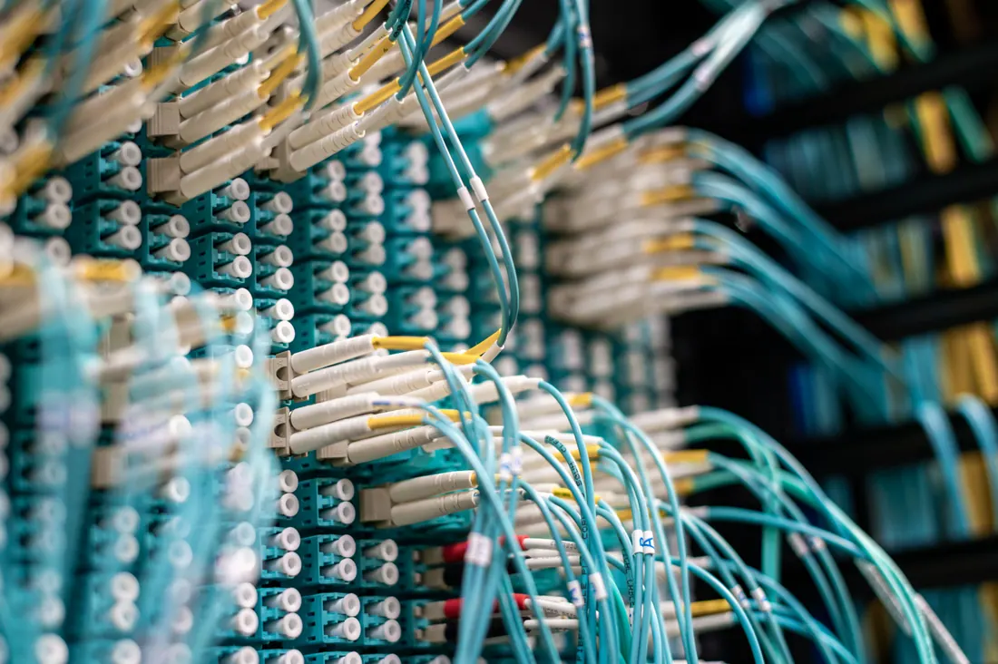 Cables de fibra óptica conectados a un panel de red