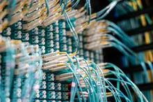 Cables de fibra óptica conectados a un panel de red