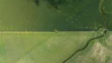 Vista aérea de campos de cultivo con un sistema de riego circular