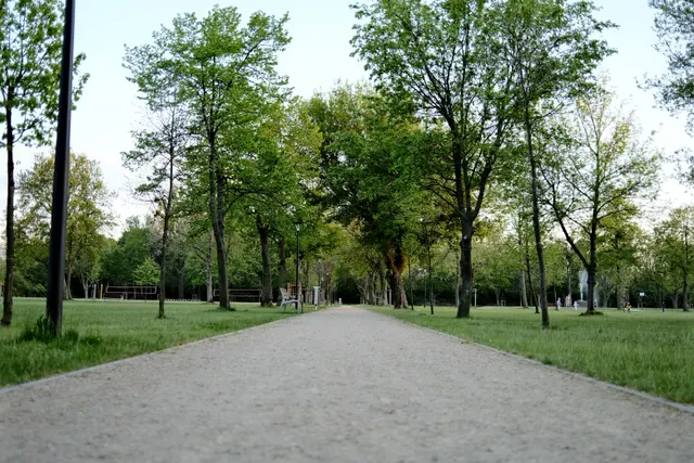 Camino de grava arbolado en un parque