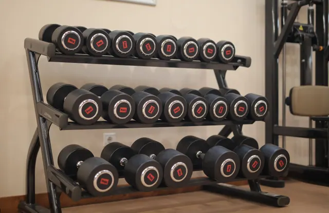 Juego de mancuernas organizadas en un soporte metálico de gimnasio