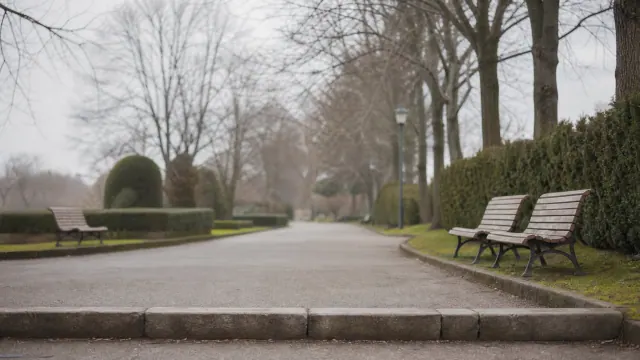 Avenida arbolada con bancos de madera a ambos lados en un parque