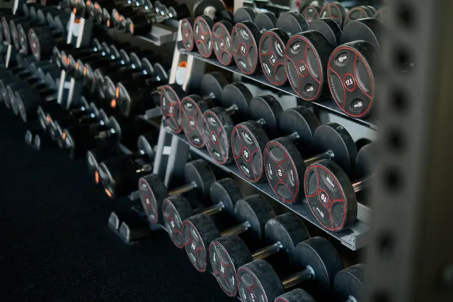 Mancuernas ordenadas en estanterías de un gimnasio