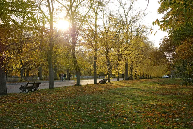 Un parque con bancos y árboles en otoño