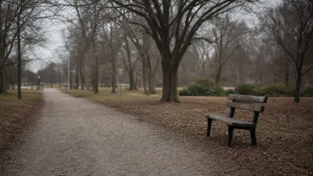 Banco de madera junto a camino arbolado en parque invernal