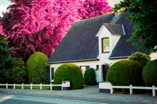 Casa con tejado a dos aguas y jardín con árbol en flor