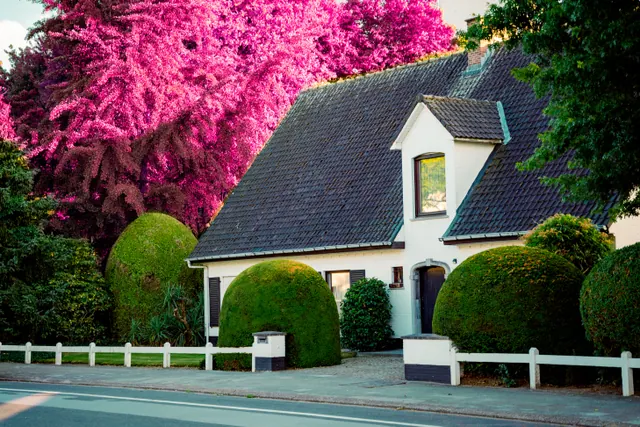 Casa con tejado a dos aguas y jardín con árbol en flor