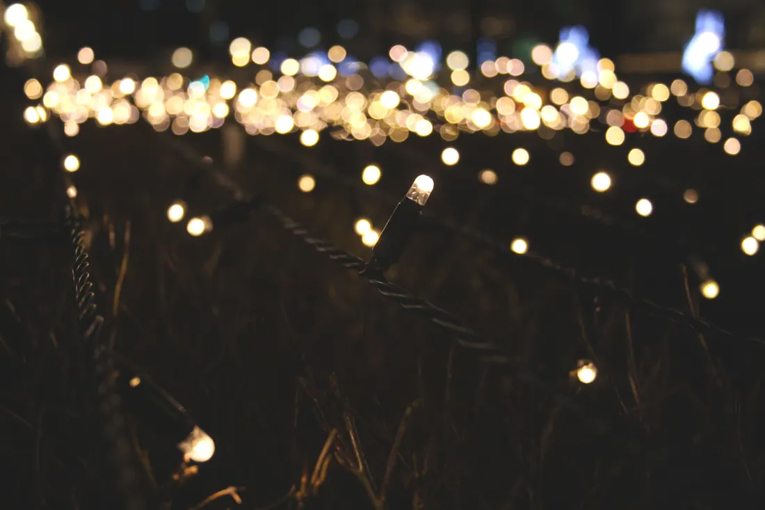 Luces LED de una guirnalda sobre hierba por la noche