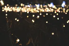 Luces LED de una guirnalda sobre hierba por la noche