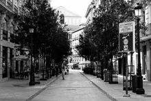 Calle peatonal arbolada con comercios a ambos lados y edificios históricos al fondo
