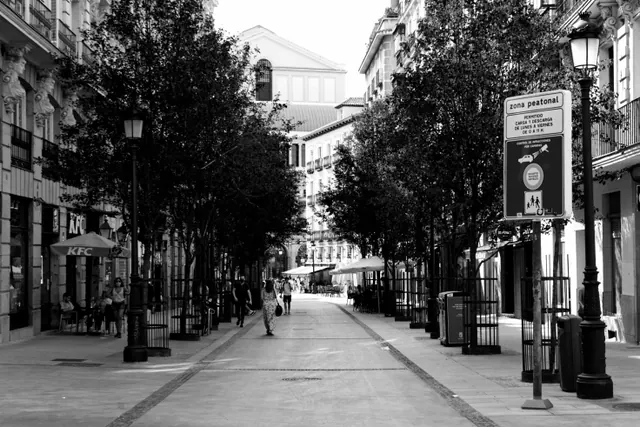 Calle peatonal arbolada con comercios a ambos lados y edificios históricos al fondo