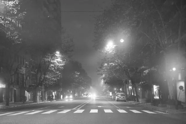 Calle urbana nocturna con farolas encendidas, arboleda y paso de peatones iluminado