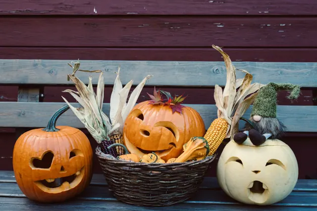 Calabazas talladas de Halloween decoradas sobre un banco de madera
