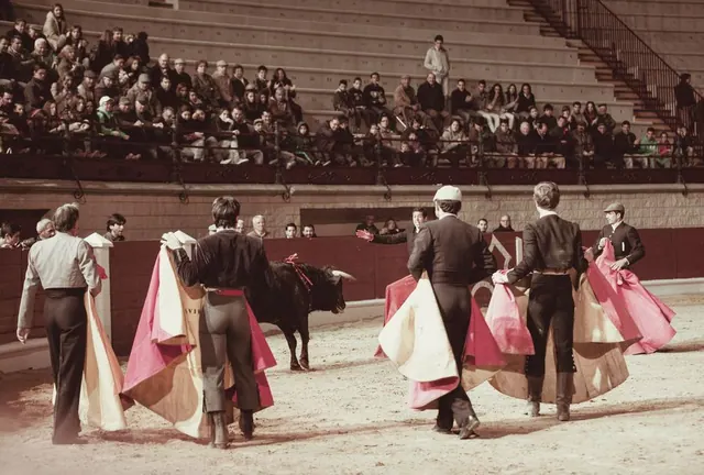Calle preparada para un encierro de toros durante unas fiestas populares