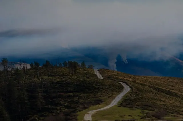 Paisaje forestal afectado por incendio en zona rural española