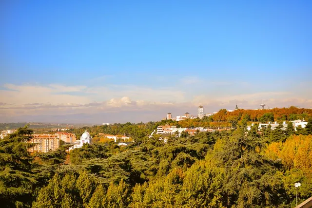Vista de un parque urbano con árboles y zonas verdes en Madrid