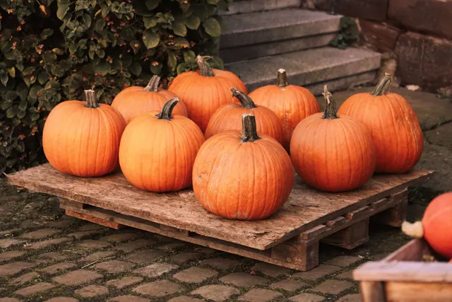 Calabazas sobre un palé de madera en una calle empedrada