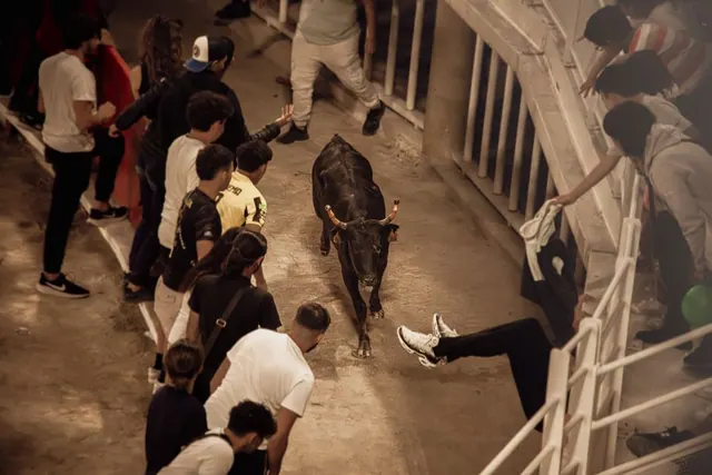 Vista de un encierro de toros en una localidad española durante las fiestas patronales