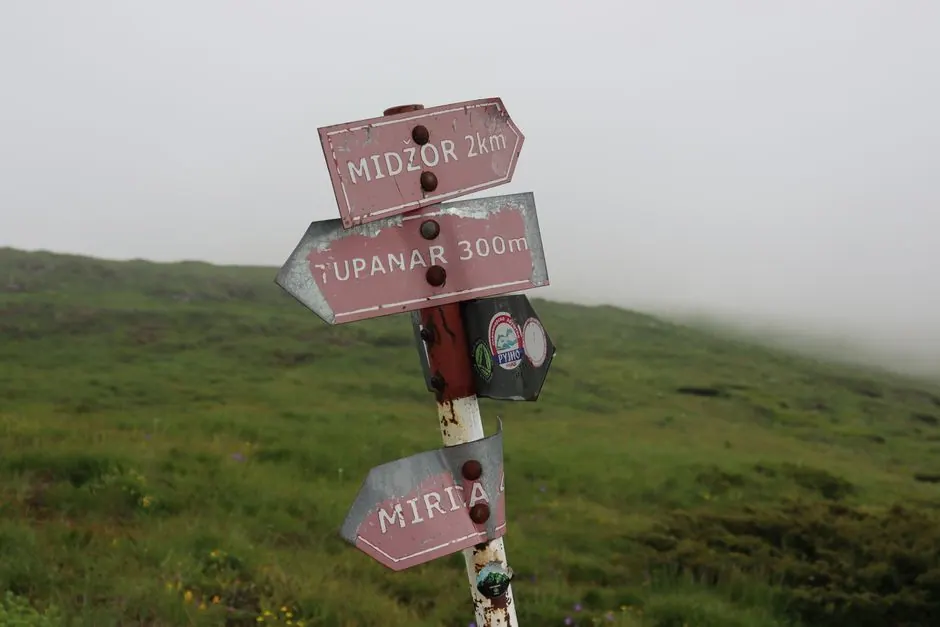 Marcas de señalización de sendero en un tronco de árbol en ruta de montaña española