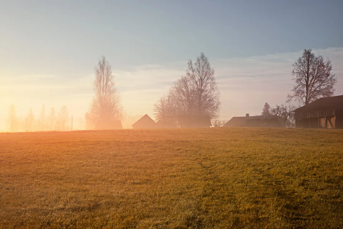 Pradera con niebla y casas rurales al amanecer