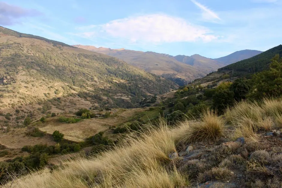 Senderista caminando por sendero señalizado en bosque español, ruta fácil para principiantes