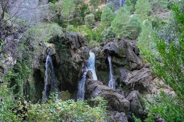 Cascada rodeada de bosque en zona montañosa