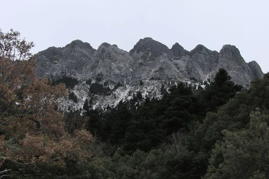Pueblo blanco de la Sierra de Grazalema con casas encaladas y sierra al fondo