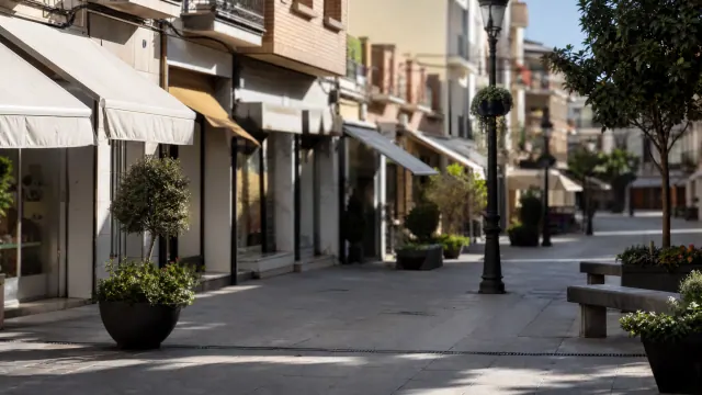 Calle peatonal urbana con comercios, toldos y macetas de plantas