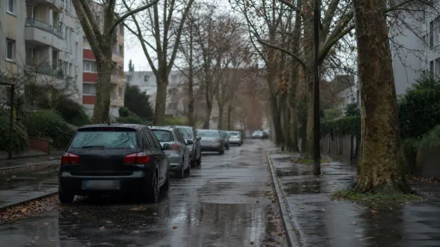 Calle residencial con varios coches aparacados junto a árboles desnudos después