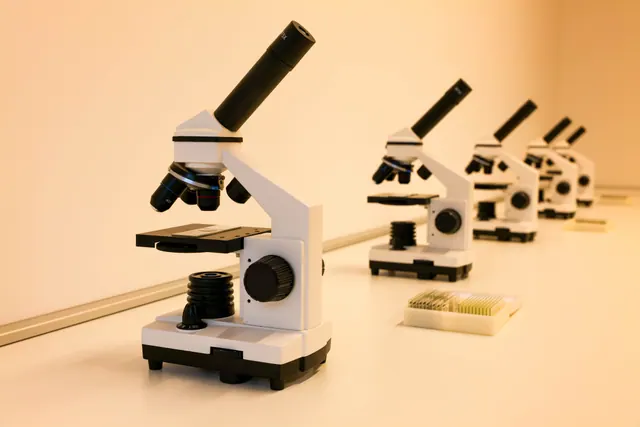 Varios microscopios alineados sobre una mesa de laboratorio