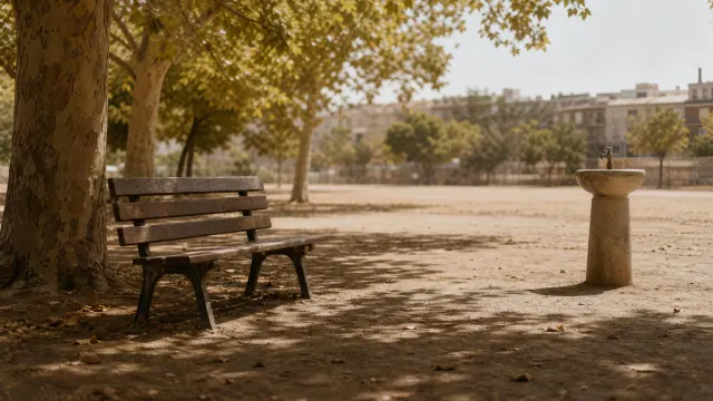 Banco de madera junto a un árbol en una plaza parisina