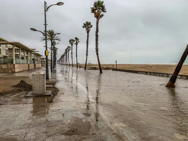 Paseo marítimo anegado por agua y barro tras una inundación