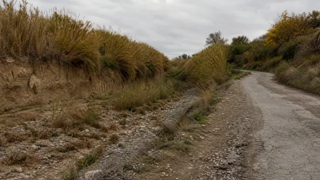 Camino de grava flanqueado por vegetación silvestre y talud erosionado