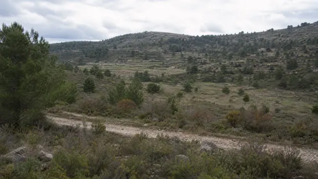 Paisaje de sierra mediterránea con vegetación dispersa y lecho de río seco en primer