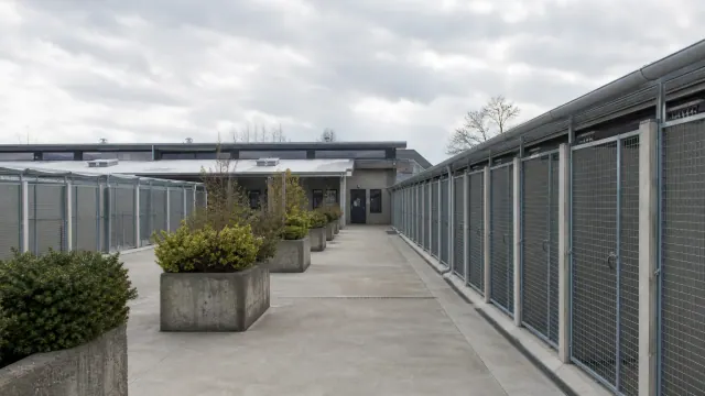 Pasillo de acceso a unidades de almacenamiento con puertas metálicas y macetas