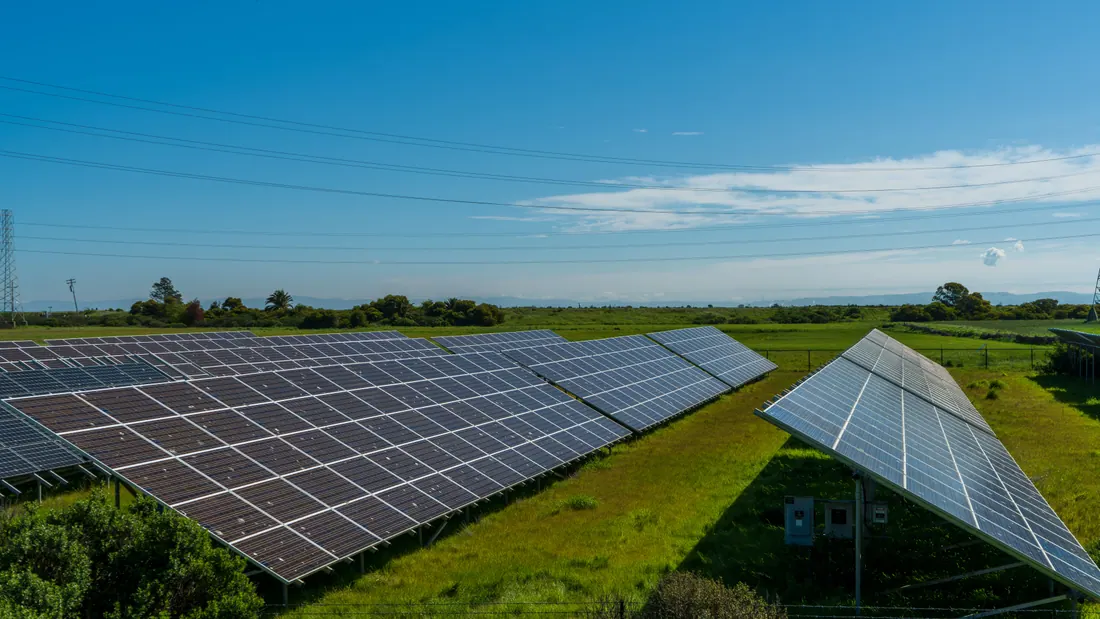 Paneles solares instalados en un campo rodeado de vegetación