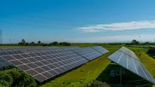 Paneles solares instalados en un campo rodeado de vegetación