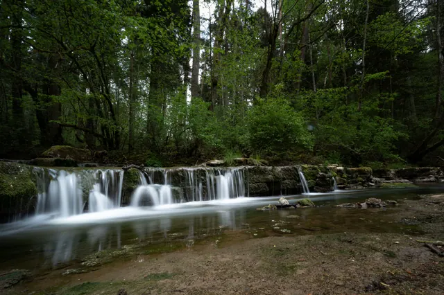 Pequeña cascada en un río dentro de un bosque