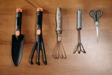 Herramientas de jardinería dispuestas sobre una mesa de madera