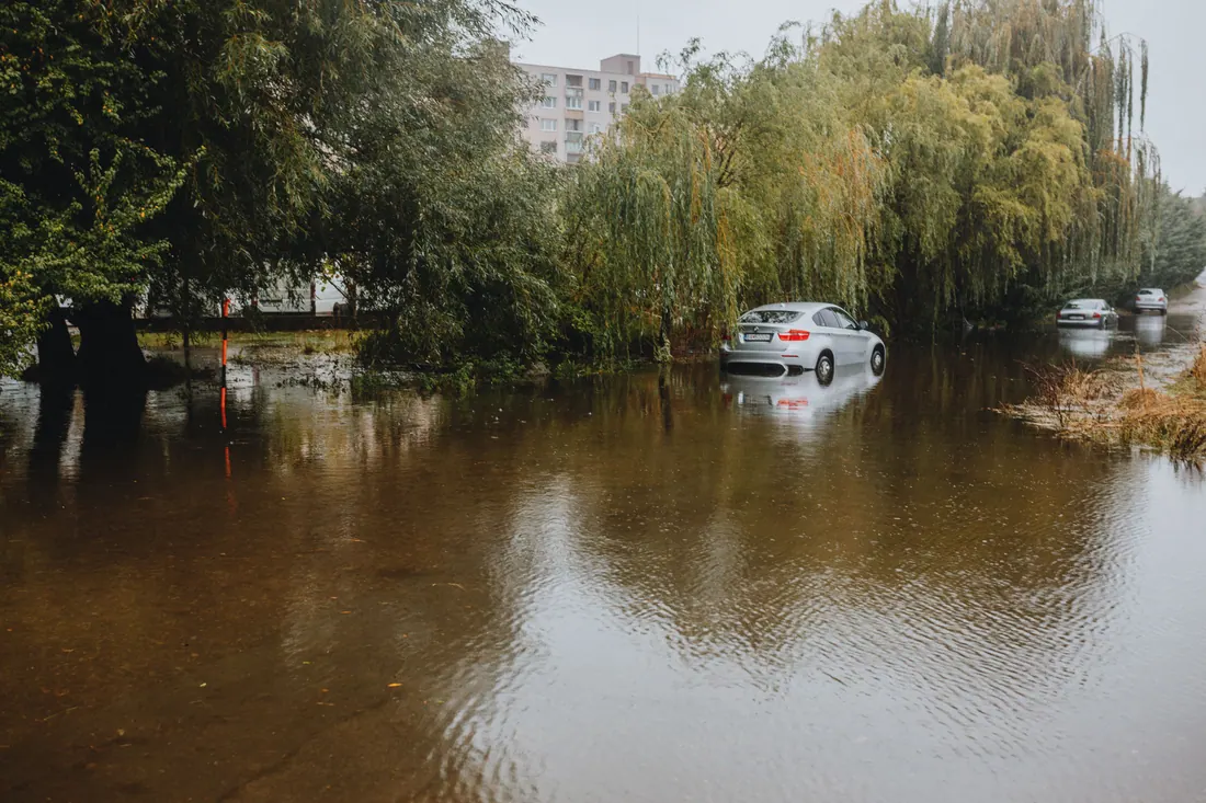 Coche semisumergido en una calle inundada junto a árboles