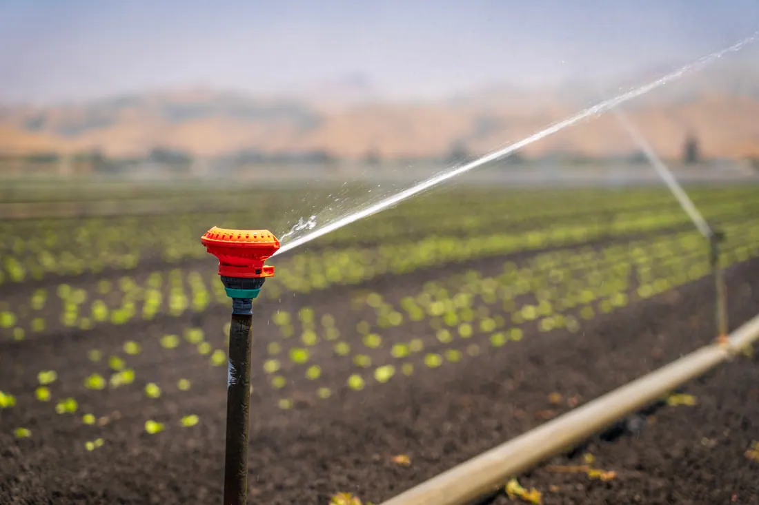 Aspersor de riego regando un cultivo en un campo agrícola
