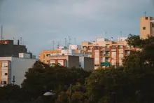 Bloques de viviendas tras unos árboles al atardecer