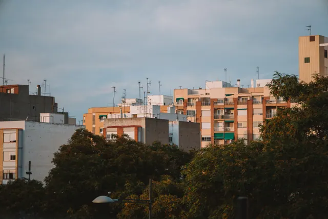 Bloques de viviendas tras unos árboles al atardecer