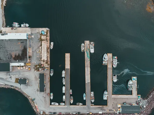 Vista aérea de un puerto pesquero con embarcaciones amarradas