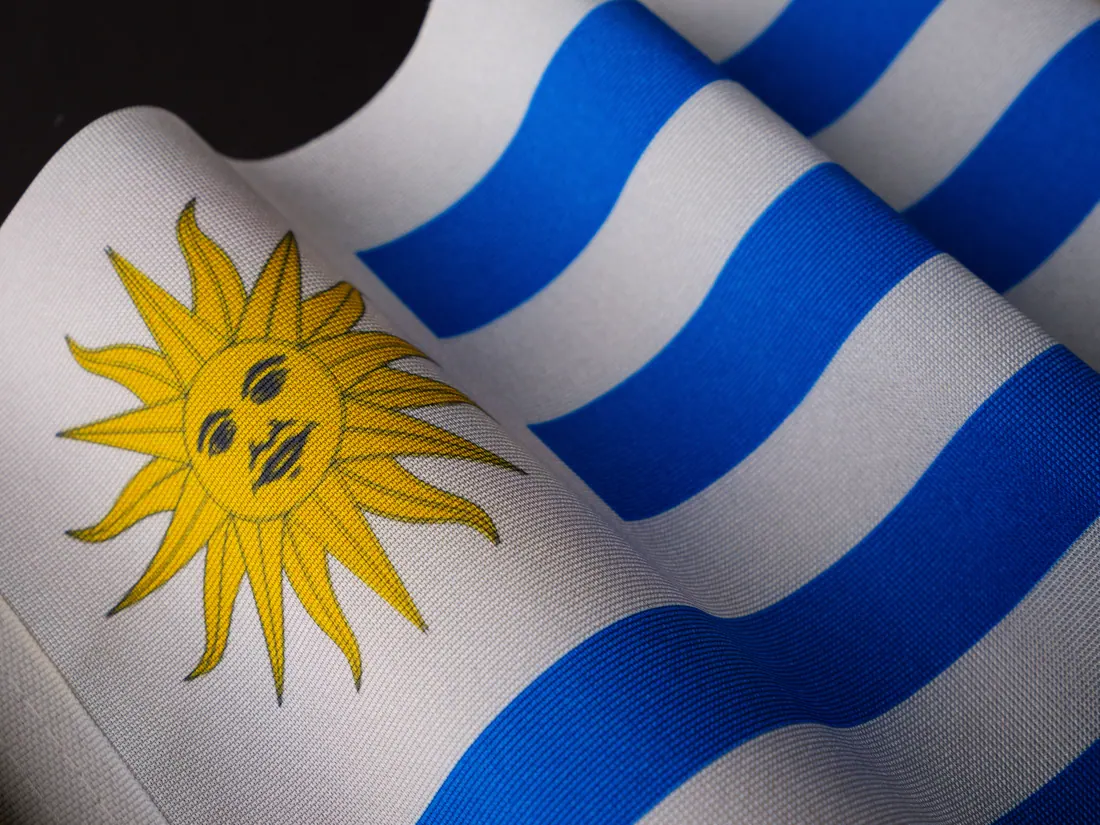 Detalle de una bandera azul con la cruz amarilla ondeando al viento