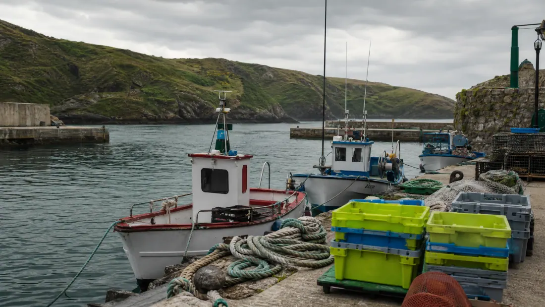 Embarcaciones de pesca amarradas en puerto junto a cajas de plástico y bobinas