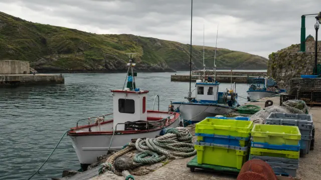 Embarcaciones de pesca amarradas en puerto junto a cajas de plástico y bobinas